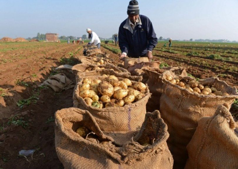 Las grandes empresas que apoyan a los pequeños productores
