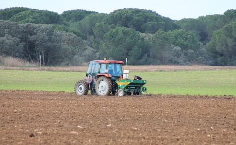 Las malas condiciones climatológicas has provocado que más de 11.000 hectáreas de patata se hayan quedado sin sacar. Las malas condiciones climatológicas has provocado que más de 11.000 hectáreas de patata se hayan quedado sin sacar.