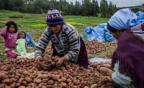 Las mujeres son las más afectadas por el cambio climático Las mujeres son las más afectadas por el cambio climático