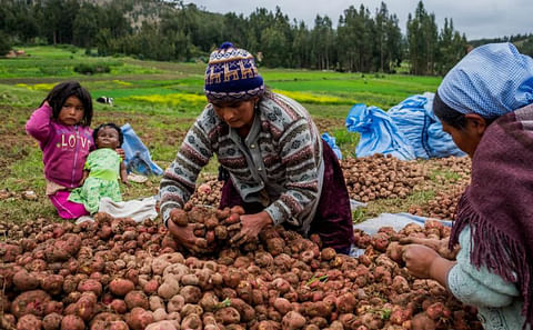Las mujeres son las más afectadas por el cambio climático Las mujeres son las más afectadas por el cambio climático
