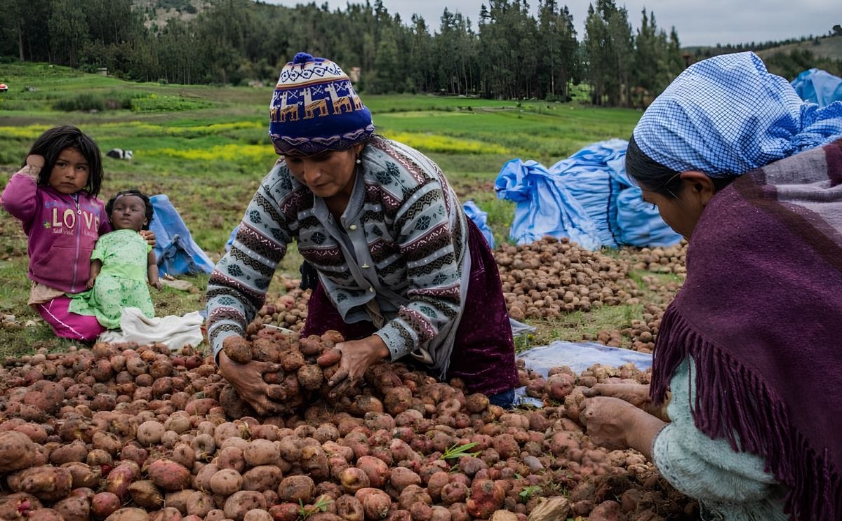 Las mujeres son las más afectadas por el cambio climático Las mujeres son las más afectadas por el cambio climático