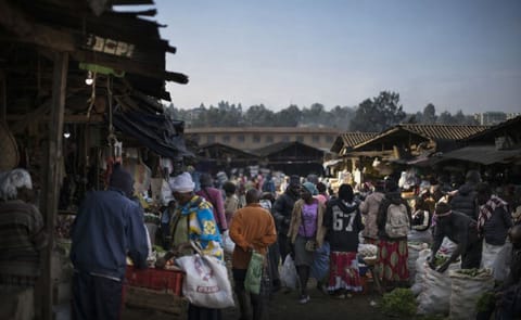 Las papas son un éxito agrícola en Kenia Las papas son un éxito agrícola en Kenia