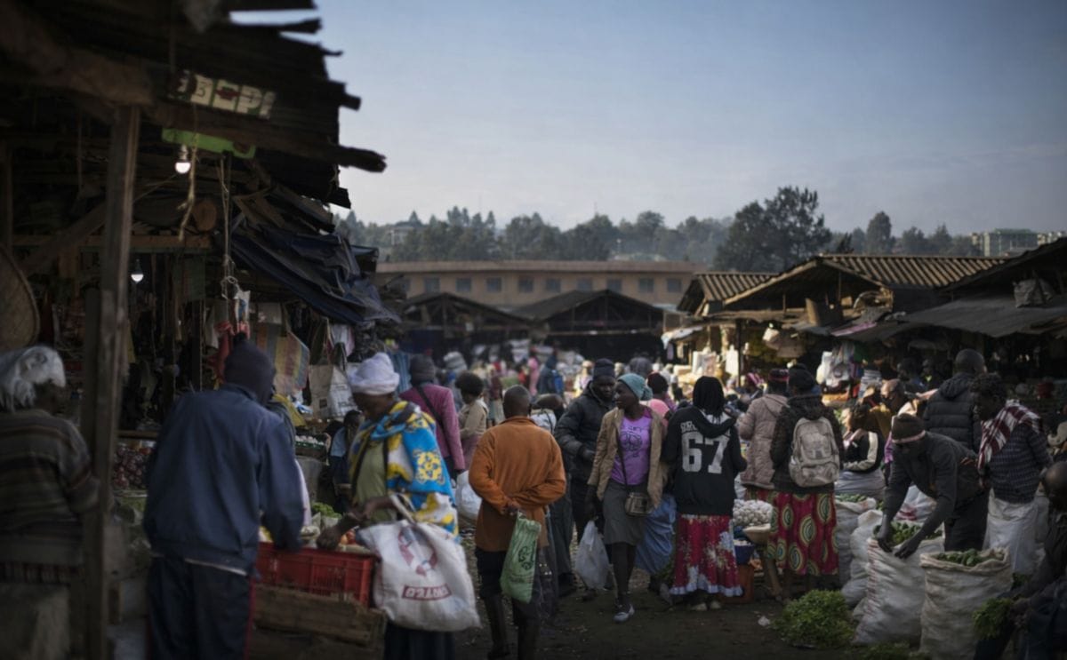 Las papas son un éxito agrícola en Kenia