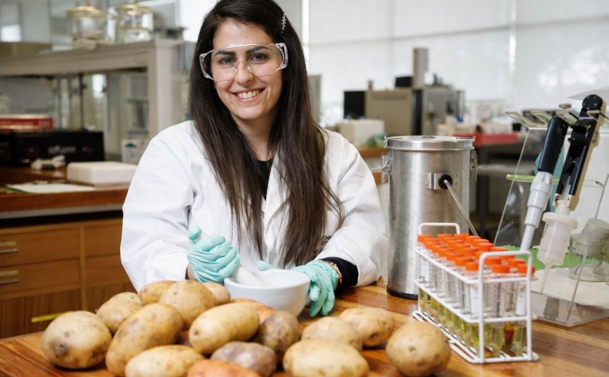 Las papas verdes no son tóxicas, según una investigación australiana