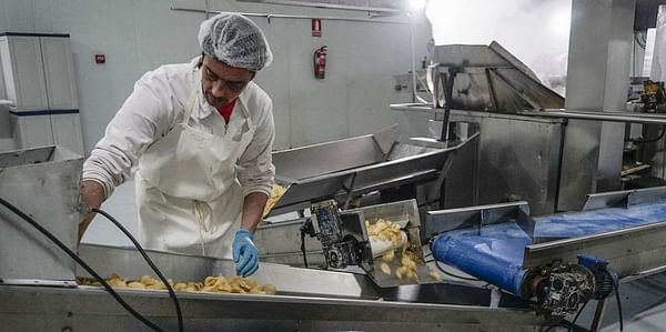 Las primeras patatas fritas de bolsa con sello gallego conquistan Alemania