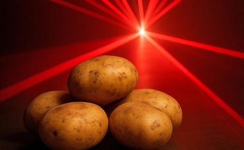 Advanced laser sorting technology inspects potatoes beyond the surface, helping detect hidden defects, internal quality issues and foreign materials that conventional camera systems may miss. Advanced laser sorting technology inspects potatoes beyond the surface, helping detect hidden defects, internal quality issues and foreign materials that conventional camera systems may miss.