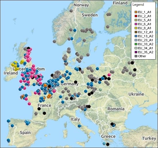 Geographical distribution of different genotypes of Phytophthora Infestans in Europe in 2014. An interactive version of this map can be found at the Euroblight website .
Black dots: identification of genotype failed