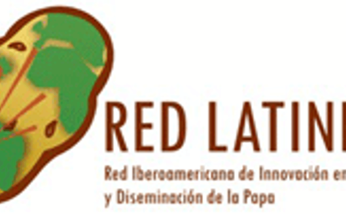 Logo Latinpapa Logo Latinpapa