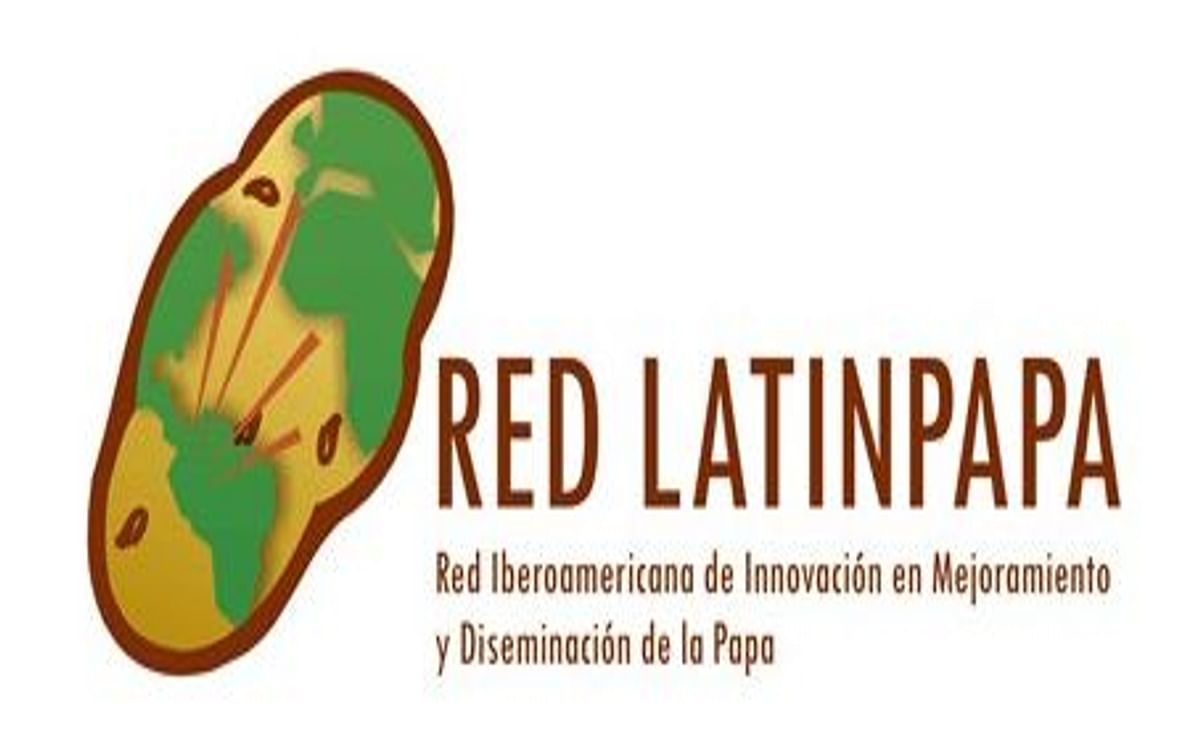 Red latinoamericana de la papa ayuda a agricultores