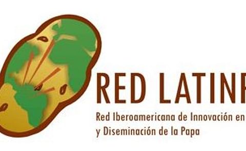 Red latinoamericana de la papa ayuda a agricultores Red latinoamericana de la papa ayuda a agricultores