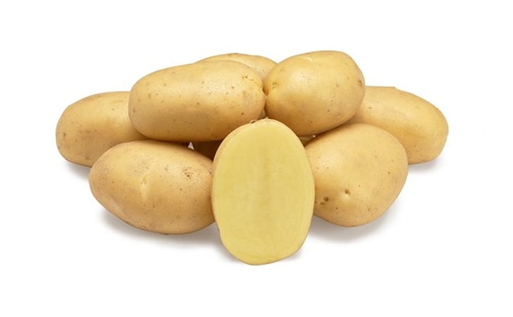 laudine-b-agrico-nl-hr-2020-1200.jpg laudine-b-agrico-nl-hr-2020-1200.jpg