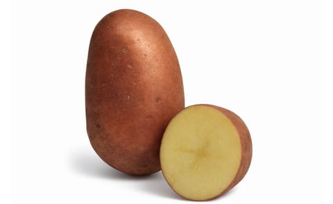 Breeders Trust intercepts illegally propagated seed potatoes in Italy Breeders Trust intercepts illegally propagated seed potatoes in Italy