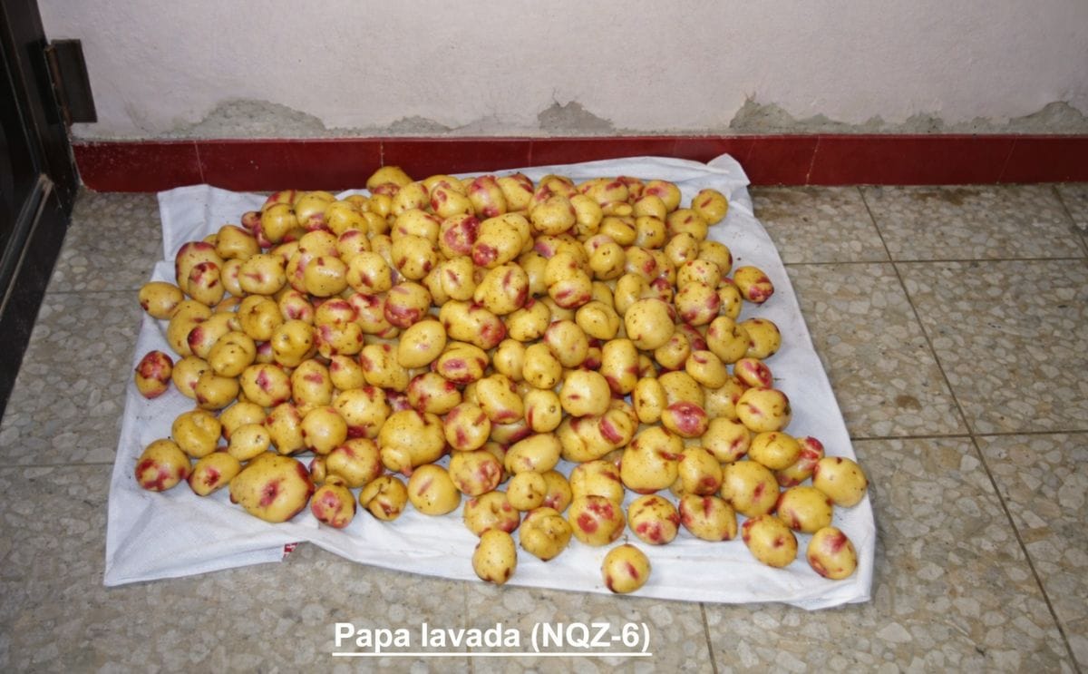 Cómo construir una lavadora de papa manual