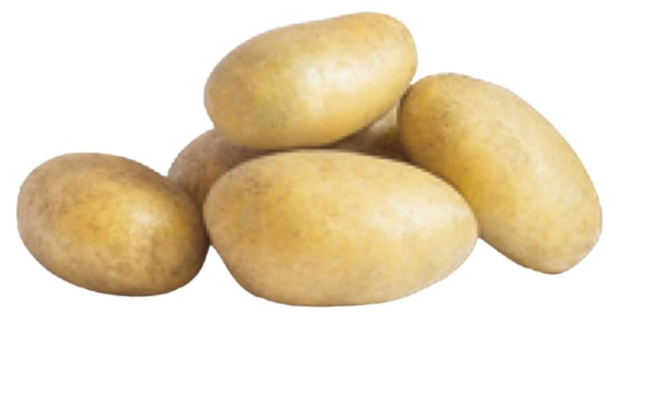 LAWINA LAWINA