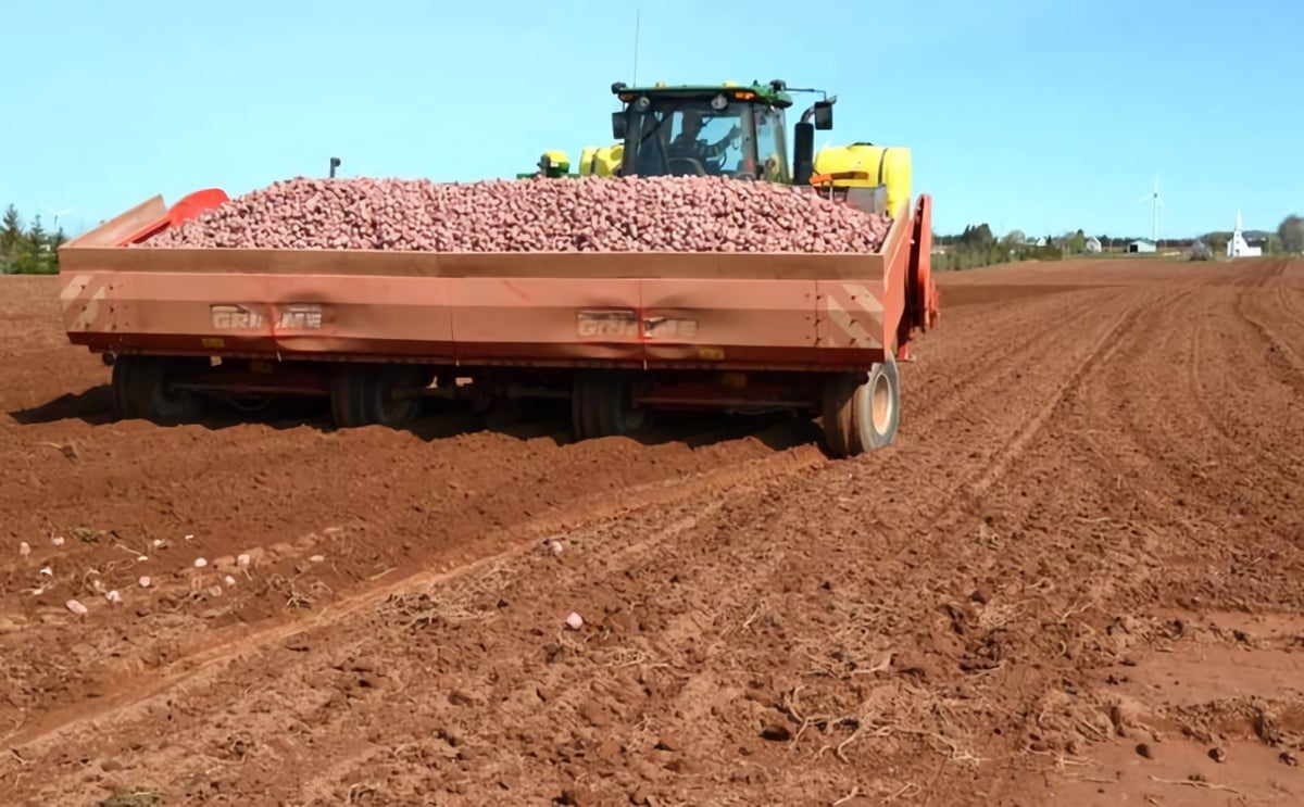 Layoffs expected at P.E.I.'s Cavendish Farms because of coronavirus Layoffs expected at P.E.I.'s Cavendish Farms because of coronavirus