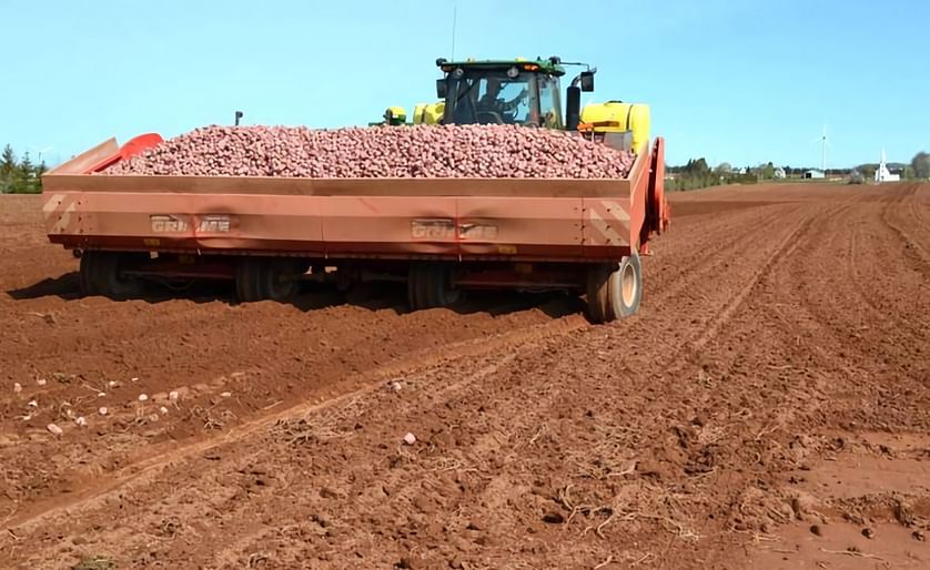 Prince Edward Island farmers have been dealing with the fallout from the coronavirus outbreak. Meanwhile, Cavendish Farms in New Annan has reduced production with no layoffs so far but expects there will be some in the short term. (Courtesy: SaltWire)