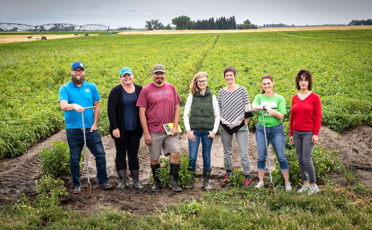 Lethbridge College, Potato Growers Partner on Irrigation Study