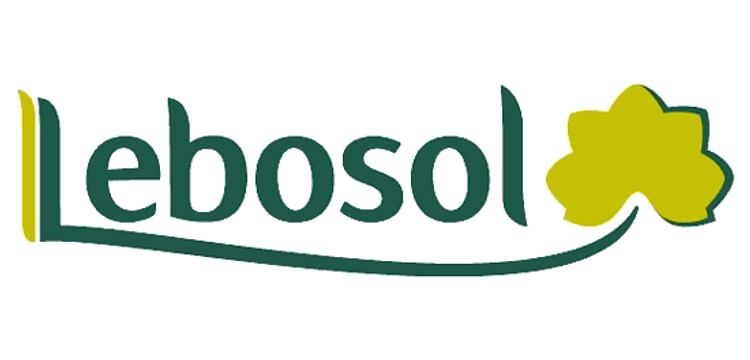 Lebosol Dunger GmbH