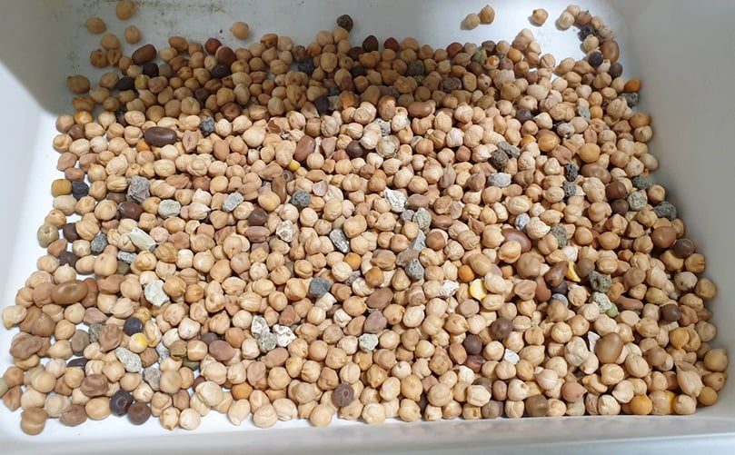 El 70% de su producción está centrada en el garbanzo. El 70% de su producción está centrada en el garbanzo.