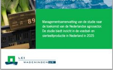 LEI rapport: in 2025 minder aardappelen en meer graan in Nederland LEI rapport: in 2025 minder aardappelen en meer graan in Nederland
