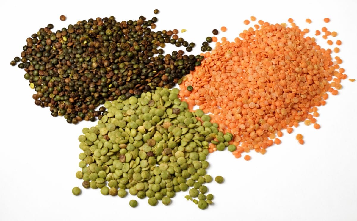 ARS develops extrusion method for tasty lentil snacks