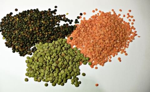 ARS develops extrusion method for tasty lentil snacks ARS develops extrusion method for tasty lentil snacks