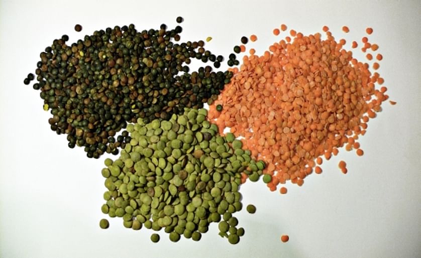 ARS develops extrusion method for tasty lentil snacks