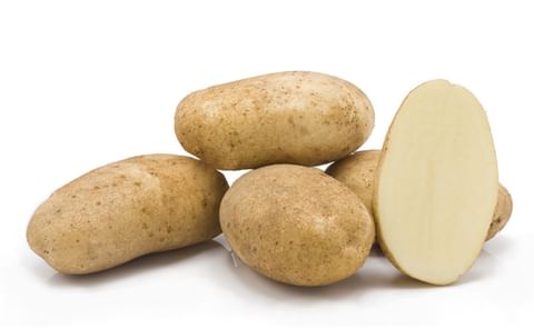 LEONATA KWS LEONATA KWS