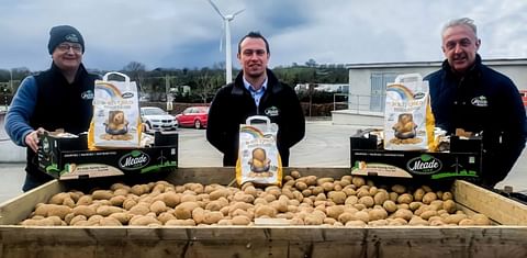 Lidl Ireland and Meade Farm introduce limited edition Irish Gold Potatoes