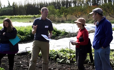 The Lincoln University Future Farming Centre head Charles Merfield, centre, among plots of mesh-covered potatoes. Using the mesh could be a way of stopping the psyllids, he says. The Lincoln University Future Farming Centre head Charles Merfield, centre, among plots of mesh-covered potatoes. Using the mesh could be a way of stopping the psyllids, he says.