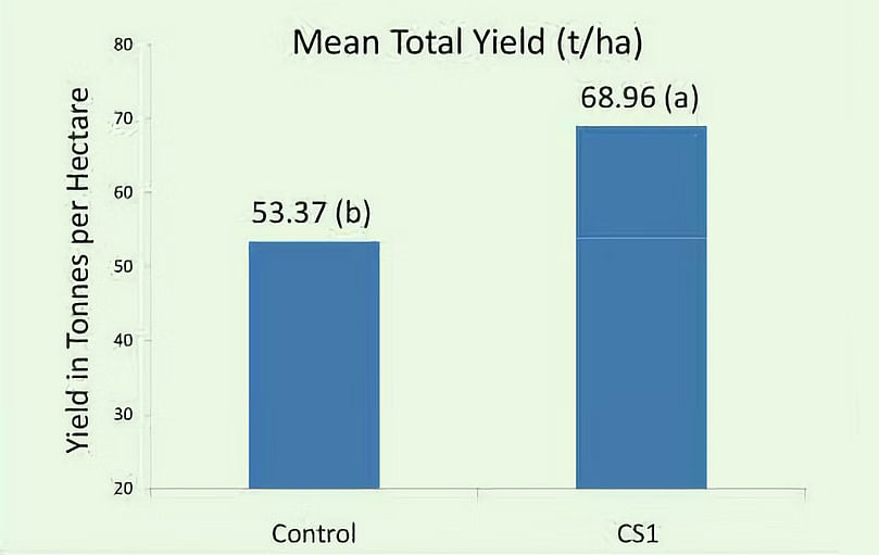 Lincolnshire Trial: Yield for the treated potatoes was 29.2% higher than the control, equivalent to an extra 15 tonnes per hectare.