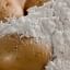 Lines for potato Starch and Derivates