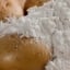 Lines for potato Starch and Derivates