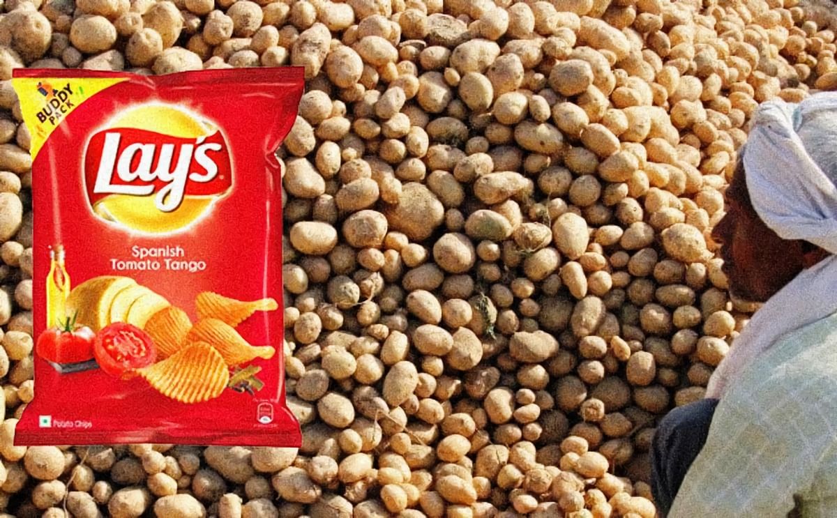 PepsiCo India withdraws lawsuit against Gujarat potato farmers PotatoPro