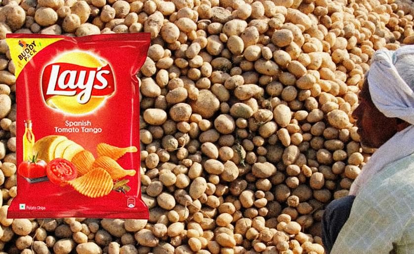 The FC5 potato variety is grown exclusively for PepsiCo's popular Lay's potato chips. (Courtesy: Live Law.in)