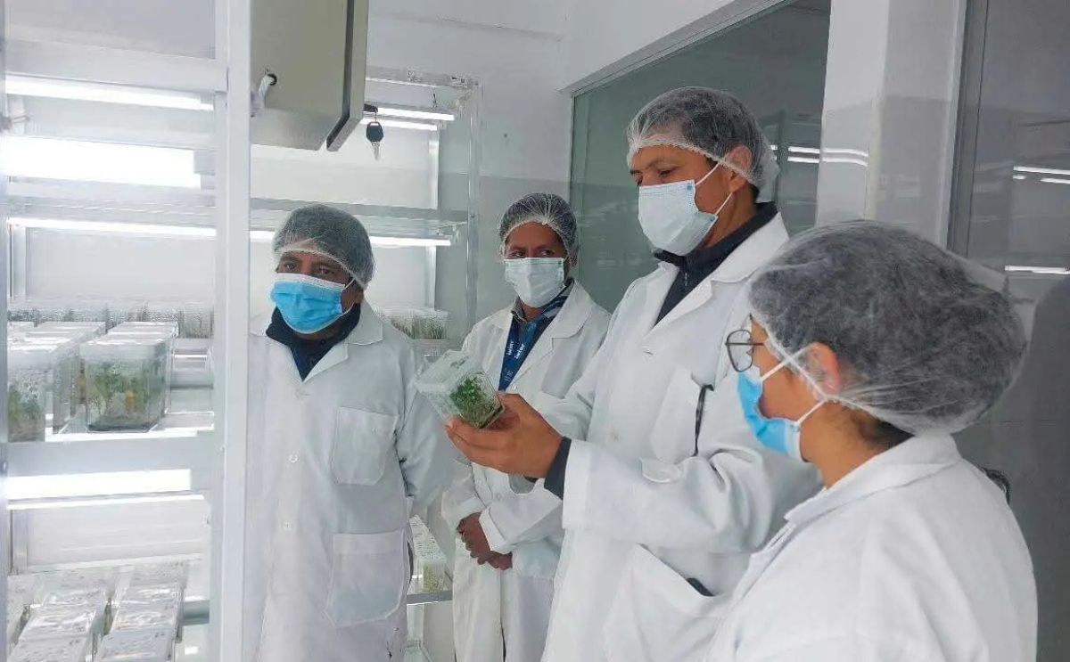 Los expertos durante la verificación.