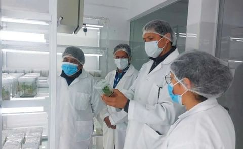 Los expertos durante la verificación. Los expertos durante la verificación.