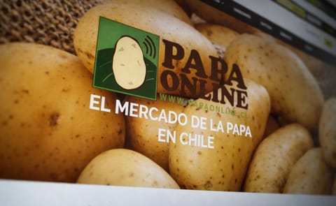 Los productores chilenos ahora pueden comprar y vender papa por internet Los productores chilenos ahora pueden comprar y vender papa por internet