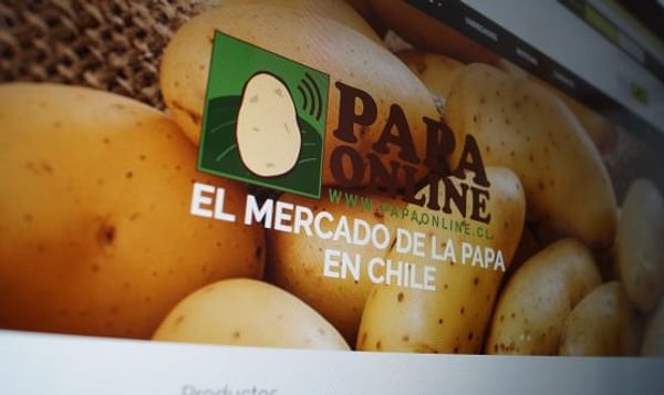 Los productores chilenos ahora pueden comprar y vender papa por internet