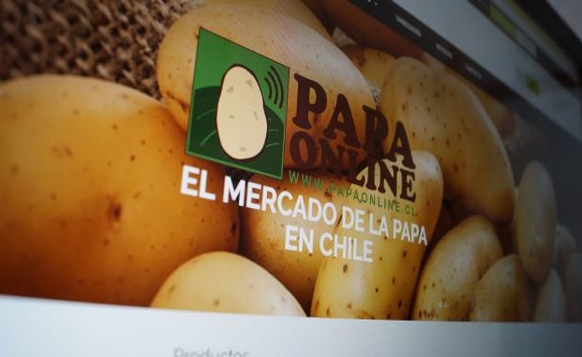 Los productores chilenos ahora pueden comprar y vender papa por internet