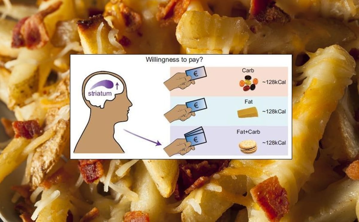 The secret behind our love for french fries The secret behind our love for french fries