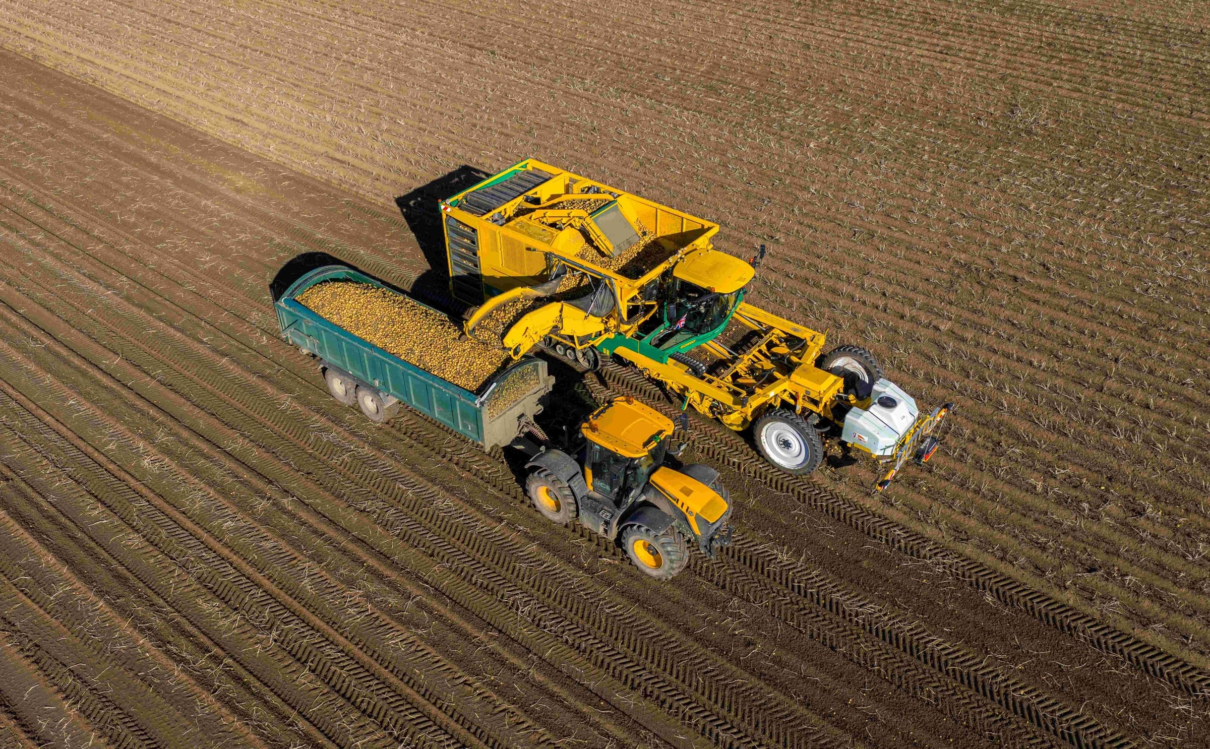 Low Carbon Concept farm harvesting of Georgina potato variety