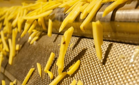 LTTS French Fry Processing Plant – Engineering & EPCM Services LTTS French Fry Processing Plant – Engineering & EPCM Services