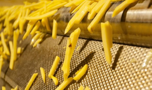 LTTS French Fry Processing Plant – Engineering & EPCM Services LTTS French Fry Processing Plant – Engineering & EPCM Services