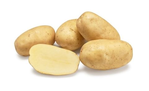 lugano-b-agrico-nl-hr-2020-1200.jpg lugano-b-agrico-nl-hr-2020-1200.jpg