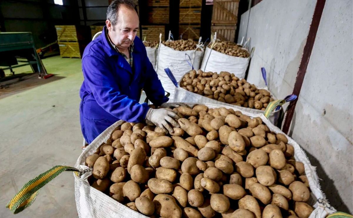 Luis Antonio García, productor del Valle de Valdelucio, en una imagen de 2023