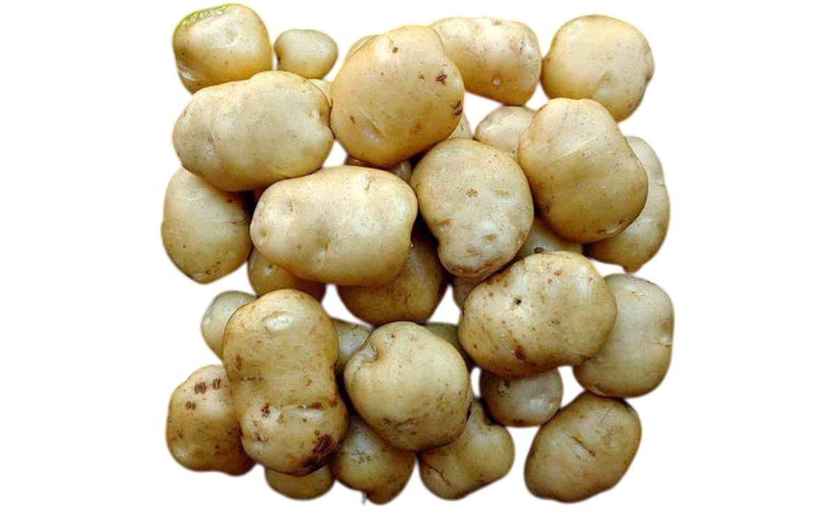 LUMPER