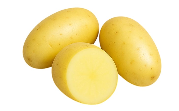 LUSA LUSA