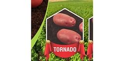 Lush Green Agro Services