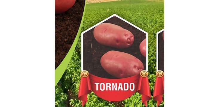 Lush Green Agro Services